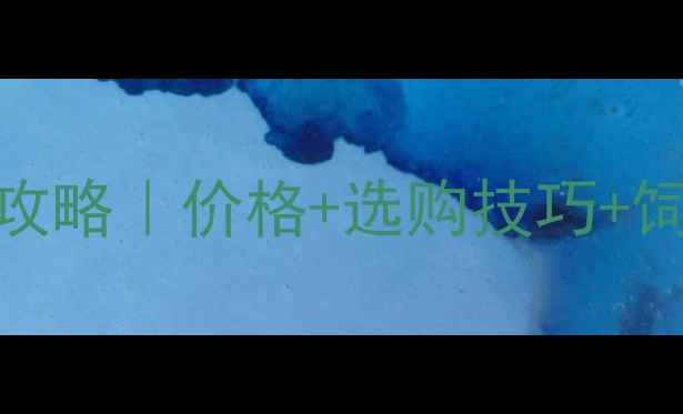 图片 🐇正大饲料兔子粮全攻略｜价格+选购技巧+饲养指南（附对比表）