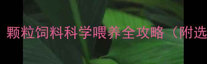 图片 🐑羊养殖必看！颗粒饲料科学喂养全攻略（附选粮避坑指南）1