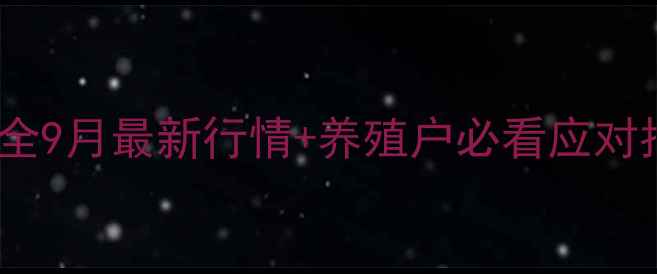 图片 🐔💰江苏活鸡价格波动全9月最新行情+养殖户必看应对指南（附地区价目表）1