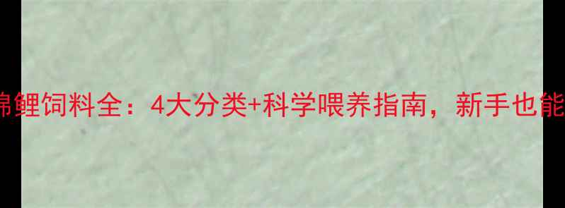图片 🐟养殖必备！锦鲤饲料全：4大分类+科学喂养指南，新手也能养出金鱼王！1