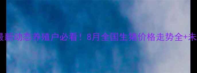 图片 🐷💰全国生猪价格最新动态养殖户必看！8月全国生猪价格走势全+未来3个月行情预测📈