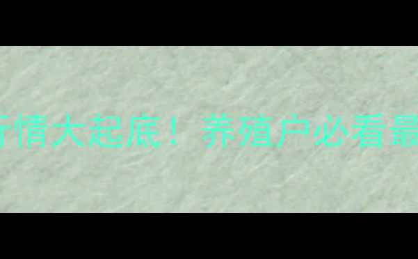图片 🐷🔥全国生猪价格行情大起底！养殖户必看最新动态+养殖攻略📈