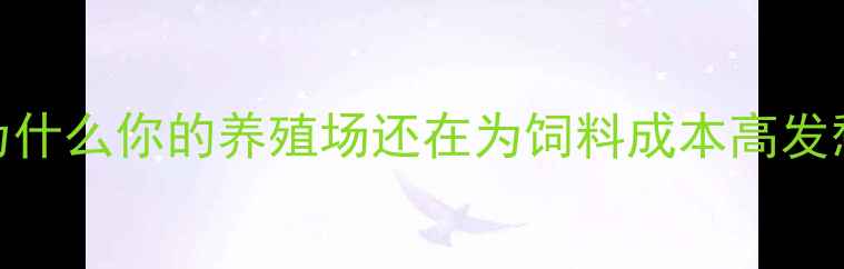 图片 💡为什么你的养殖场还在为饲料成本高发愁？