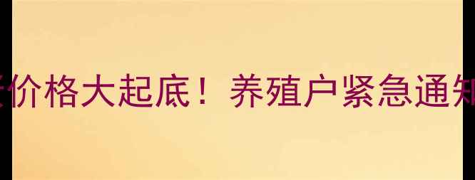 图片 📅10月4号河南鸡蛋价格大起底！养殖户紧急通知+未来趋势预测🥚1