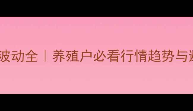 图片 📊毛鸡价格波动全｜养殖户必看行情趋势与避坑指南🐔1