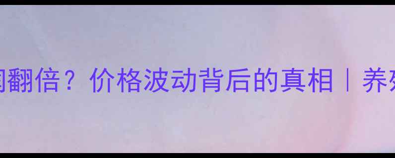 图片 📊蛋鸭养殖利润翻倍？价格波动背后的真相｜养殖户必看全攻略