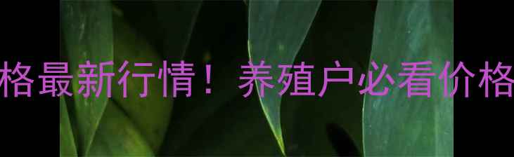 图片 📌山东平原生猪价格最新行情！养殖户必看价格走势+波动分析🐷1