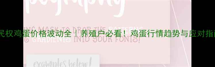 图片 📌民权鸡蛋价格波动全｜养殖户必看！鸡蛋行情趋势与应对指南1
