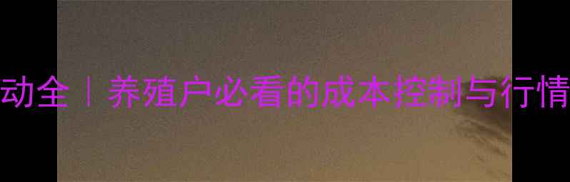 图片 📌河北淘汰鸡价格波动全｜养殖户必看的成本控制与行情预测（附最新数据）