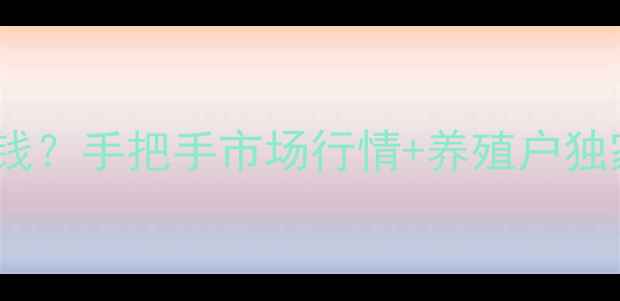 图片 📌漯河鸡蛋价格今日多少钱？手把手市场行情+养殖户独家访谈，附最新波动趋势1