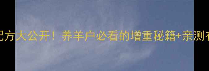 图片 📌科学催肥羊饲料配方大公开！养羊户必看的增重秘籍+亲测有效的饲料搭配方案