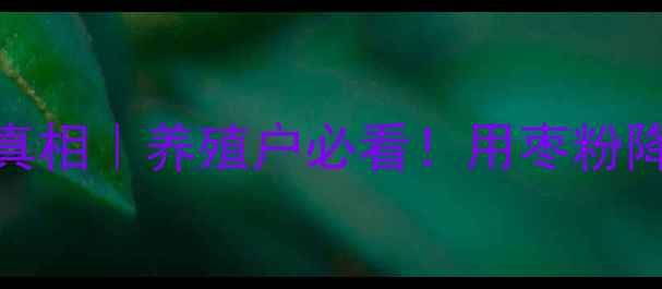 图片 📌饲料枣粉替代玉米真相｜养殖户必看！用枣粉降本增效的三大关键点