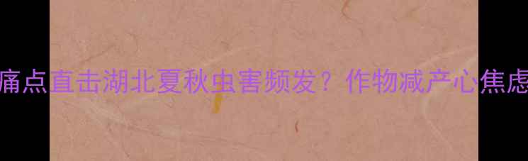 图片 🔍痛点直击湖北夏秋虫害频发？作物减产心焦虑？