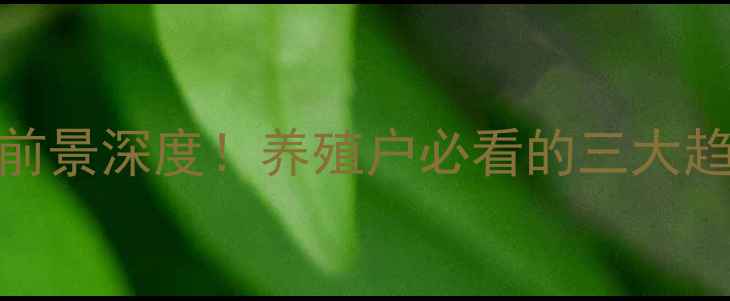 图片 🔥-猪饲料行业前景深度！养殖户必看的三大趋势与投资指南1