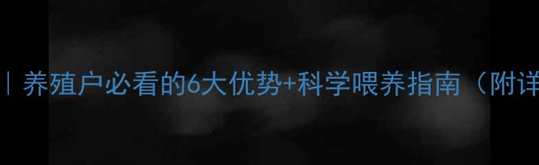 图片 🔥128饲料配方｜养殖户必看的6大优势+科学喂养指南（附详细配比表）🔥1