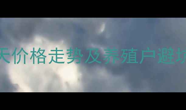 图片 🔥817毛鸡最新报价！明天价格走势及养殖户避坑指南（附详细分析）🔥1