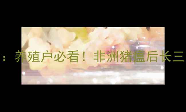 图片 🔥上海猪肉价格波动全：养殖户必看！非洲猪瘟后长三角地区供需格局大变化
