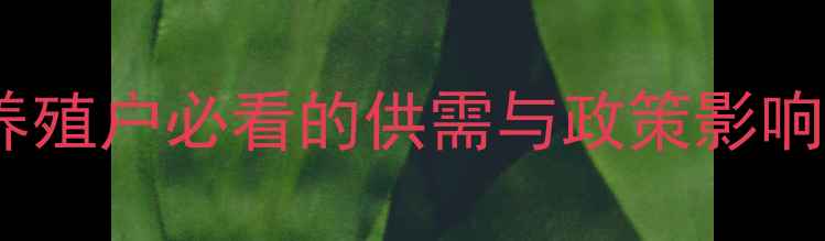 图片 🔥今日活猪价格波动全｜养殖户必看的供需与政策影响，附未来30天走势预测💰1
