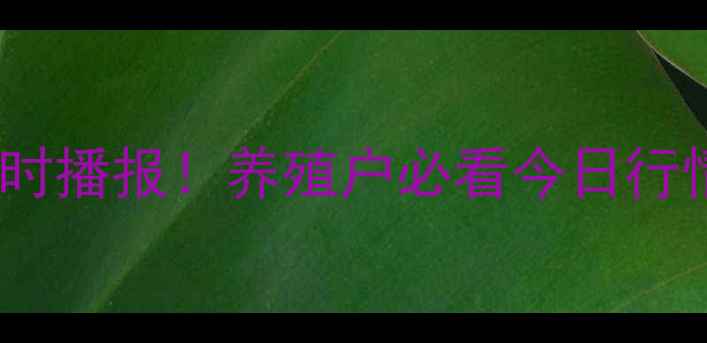 图片 🔥全国大猪价格实时播报！养殖户必看今日行情+养殖避坑指南📈