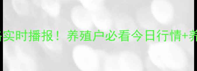 图片 🔥全国大猪价格实时播报！养殖户必看今日行情+养殖避坑指南📈1