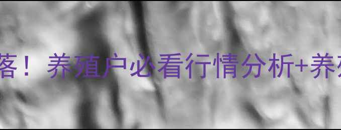 图片 🔥六月生猪价格大起大落！养殖户必看行情分析+养殖技巧（附最新数据）1