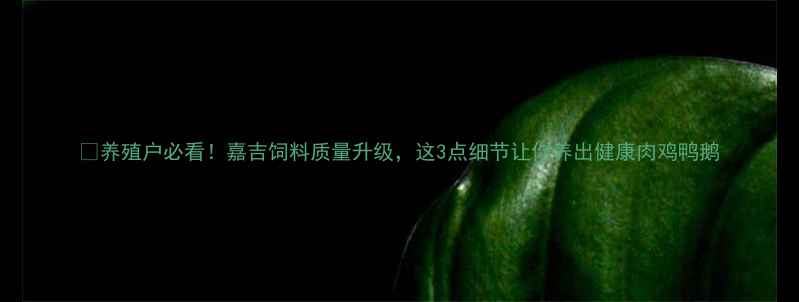 图片 🔥养殖户必看！嘉吉饲料质量升级，这3点细节让你养出健康肉鸡鸭鹅