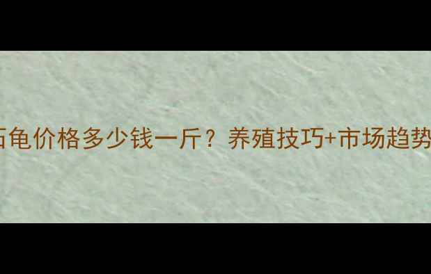图片 🔥南石龟价格多少钱一斤？养殖技巧+市场趋势全！1