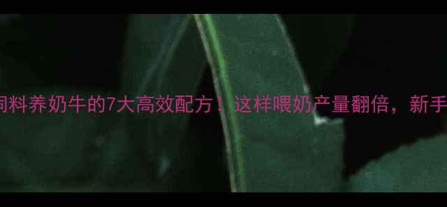 图片 🔥发酵饲料养奶牛的7大高效配方！这样喂奶产量翻倍，新手必看🐄1