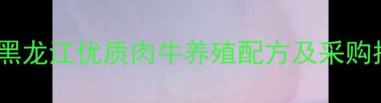 图片 🔥哈尔滨肉牛饲料推荐｜黑龙江优质肉牛养殖配方及采购指南（附源头厂家名单）1