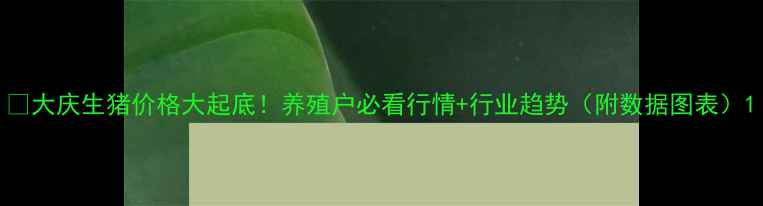图片 🔥大庆生猪价格大起底！养殖户必看行情+行业趋势（附数据图表）1