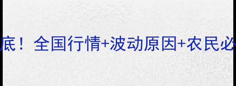 图片 🔥大蒜价格大起底！全国行情+波动原因+农民必看种植攻略💰🌱