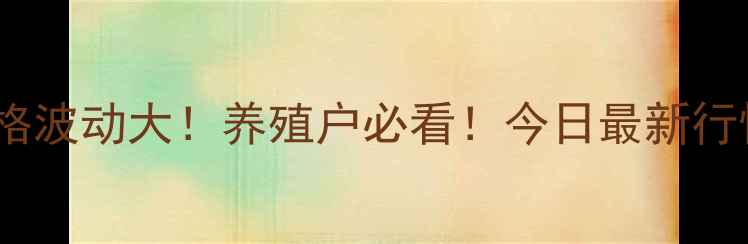 图片 🔥孝感生猪价格波动大！养殖户必看！今日最新行情+养殖技巧全