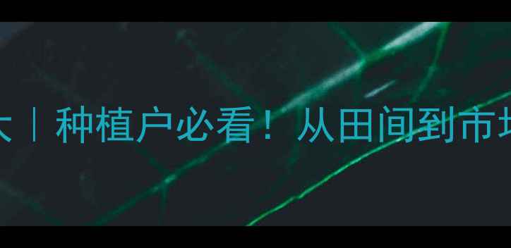 图片 🔥干辣椒价格行情大｜种植户必看！从田间到市场全产业链干货🌶️