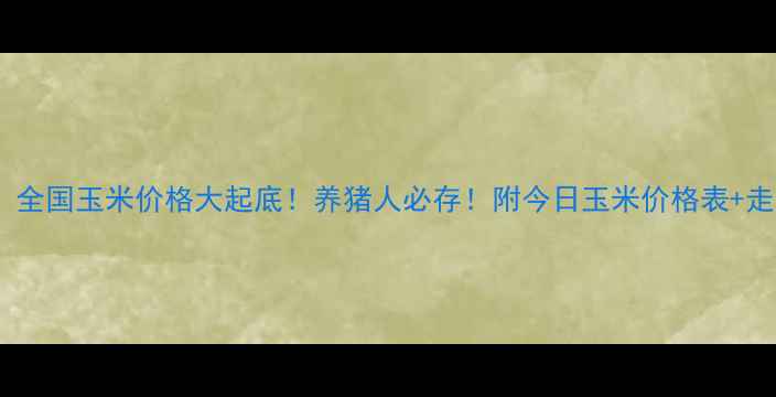 图片 🔥必看！全国玉米价格大起底！养猪人必存！附今日玉米价格表+走势预测1