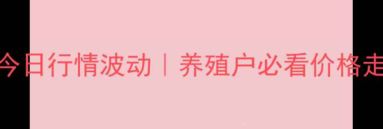 图片 🔥江苏生猪价格今日行情波动｜养殖户必看价格走势+应对攻略🔥1