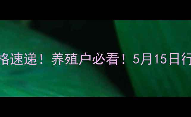 图片 🔥泰兴市最新毛猪价格速递！养殖户必看！5月15日行情分析+趋势预测🔥1