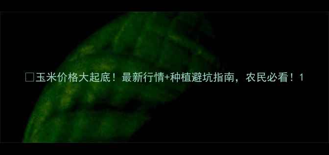 图片 🔥玉米价格大起底！最新行情+种植避坑指南，农民必看！1