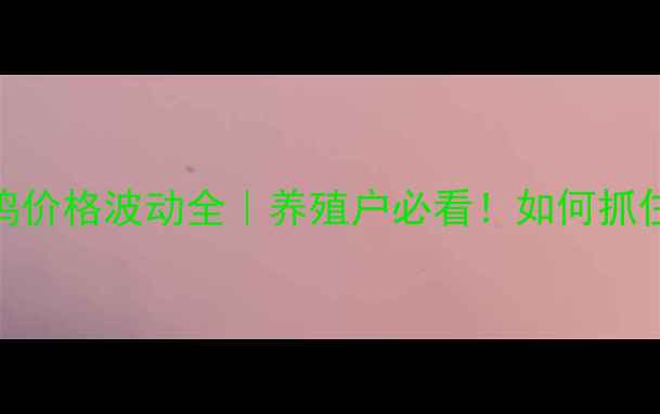图片 🔥石家庄淘汰鸡价格波动全｜养殖户必看！如何抓住市场窗口期？