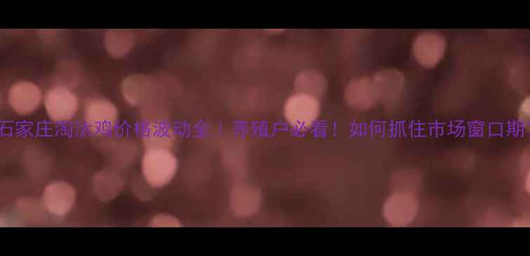 图片 🔥石家庄淘汰鸡价格波动全｜养殖户必看！如何抓住市场窗口期？1