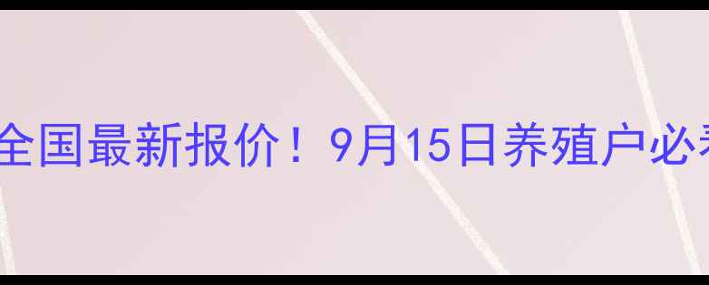 图片 🔥肉毛鸡价格全国最新报价！9月15日养殖户必看行情分析💰1