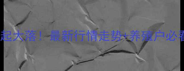 图片 🔥肉毛鸡价格大起大落！最新行情走势+养殖户必看避坑指南🔥💰1