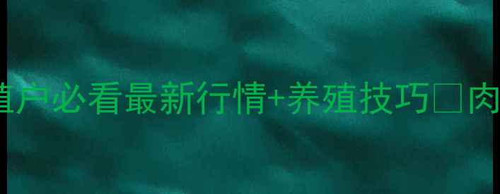 图片 🔥肉毛鸡价格大起底！养殖户必看最新行情+养殖技巧🌟肉鸡养殖价格行情农业资讯1