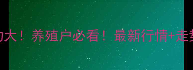 图片 🔥西平县毛猪价格波动大！养殖户必看！最新行情+走势预测+养殖技巧全🐷1
