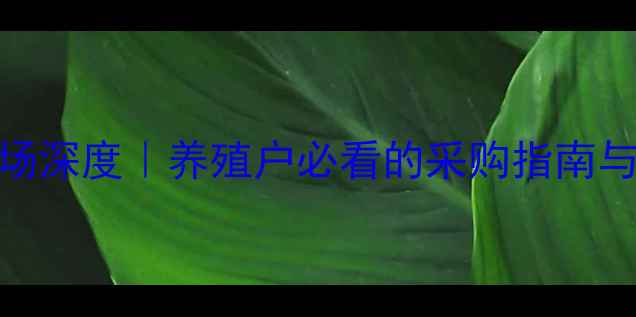 图片 🔥西店饲料市场深度｜养殖户必看的采购指南与行业趋势🐟🚜