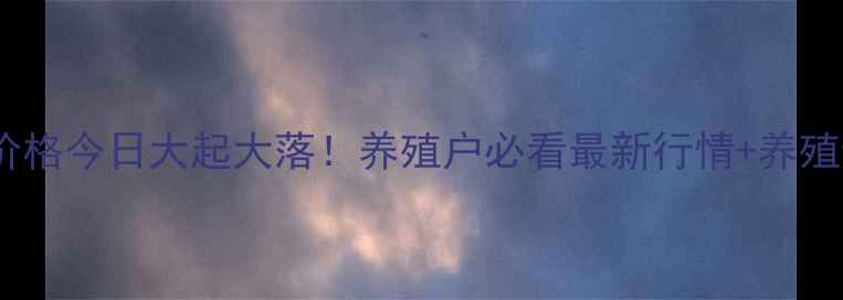 图片 🔥诸城生猪价格今日大起大落！养殖户必看最新行情+养殖避坑指南🔥1