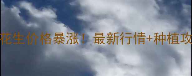 图片 🔥辽宁花生价格暴涨！最新行情+种植攻略全🔥