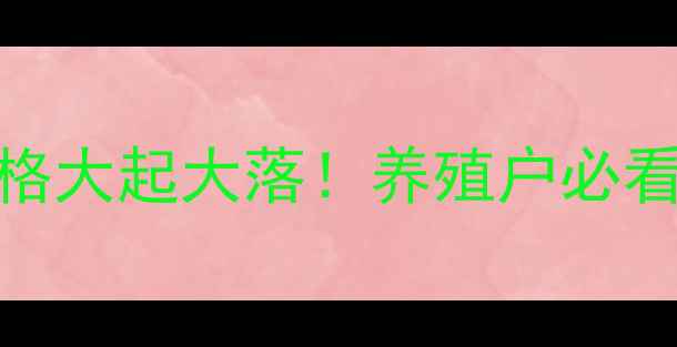 图片 🔥黑龙江活肉鸡价格大起大落！养殖户必看全年走势分析💰🔥