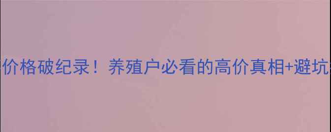 图片 🔥龙虾价格破纪录！养殖户必看的高价真相+避坑指南🔥