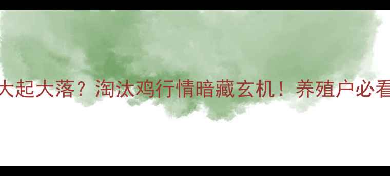 图片 🥚鸡蛋价格大起大落？淘汰鸡行情暗藏玄机！养殖户必看生存指南📈