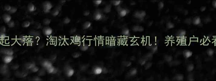 图片 🥚鸡蛋价格大起大落？淘汰鸡行情暗藏玄机！养殖户必看生存指南📈1